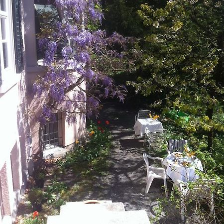 Garden Studio Apartment Zuerichberg Стая снимка