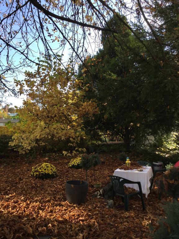 Garden Studio Apartment Zuerichberg Екстериор снимка